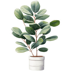 houseplant element trees leaves.designed for digital use decoration, website, page and general digital work