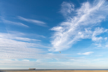 Cloudscape of a blue sky with feather clouds off the coast in the Netherlands with one ship offshore and one bird flying above a thin sliver of beach - obrazy, fototapety, plakaty