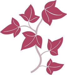 ivy vine illustration