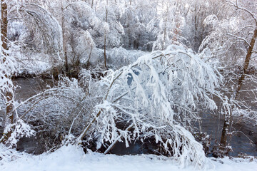 Fast flowing river in winter. Snow-covered trees on the shore