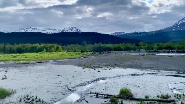Ghost Forest near Turnagain Arm in Alaska. Near Girdwood, travelers can see the remains of trees whose roots were swamped with salt water and killed during the 1964 Earthquake. Riding Alaska Railroad.