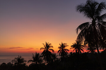 Fototapeta na wymiar Tropical landscape with palm trees silhouettes against colourful saturated pink and orange romantic clear sky during sunset on Koh Tao island. Copy space