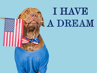 Lovable, charming dog and American Flag. Closeup, indoors. Studio shot. Congratulations for family, loved ones, relatives, friends and colleagues. Pet care concept