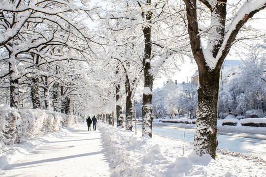Streets of the city of Munich in winter, covered with snow, Germany