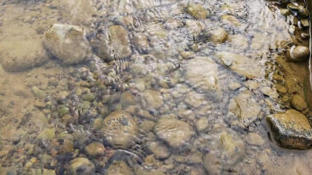 Top angle camera shot of the gurgling water flows in the river over small rocks