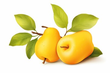 Quince icon on white background