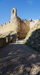 Alley to convent of Christ in European TOMAR city at Santarem district of PORTUGAL - vertical
