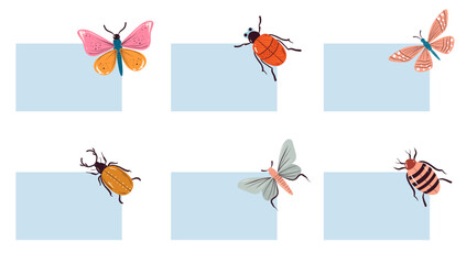 Bug butterfly banner card text place concept. Vector flat graphic design illustration
