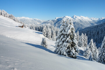 Fototapeta na wymiar Winter mit viel Neuschnee im Zillertal in Tirol