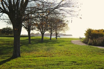  Autumn afternoon at a city park