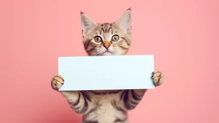Fotobehang funny pet cat showing a placard isolated on white background blank web banner template and copy space © alexkich