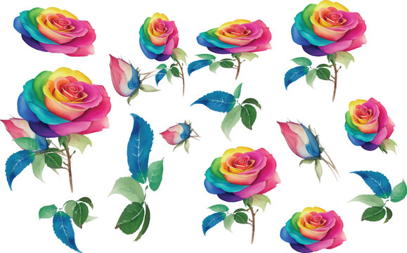 Rainbow Watrr Color Rose, rose vector, rose flowers, flower set