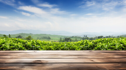 Fototapeta na wymiar Wooden floor with blurred beautiful landscape of tea plantation background.