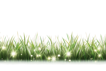 Fresh green grass meadow background transparency generative AI