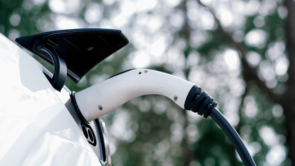 Closeup EV electric car recharge battery at parking lot in natural green city park. Alternative...