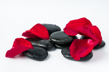 Spa stones and flowers on the white background