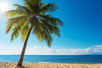 Beautiful summer beach with blue sky and palm trees