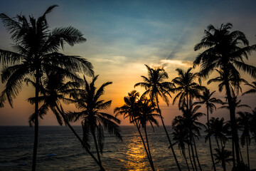 Sunset at Coconut tree hill in Sri Lanka - obrazy, fototapety, plakaty