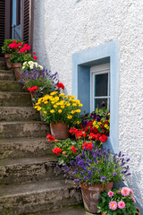 Steps adorned with a variety of flowers in pots