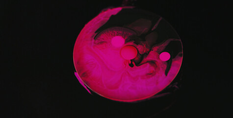 Ink drop. Oil bubble. Paint water. Bright neon pink black color gel texture fluid mix on blur shiny...