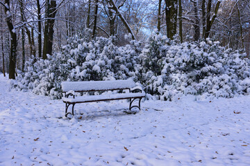 Park zimą. Parkowa alejka, ziemia, poblskie krzewy i drzewa pokrywa warstwa śniegu. W centrum widać parkową ławkę również pokrytą śniegiem. - obrazy, fototapety, plakaty