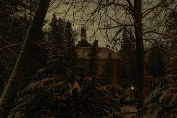 Pałac w parku zimą wśród drzew i krzewów są one pokryte warstwą śniegu, który pokrywa również ziemię. Jest noc, pałac jest skryty w mroku oświetlony nikłym światłem pobliskich latarni. - obrazy, fototapety, plakaty