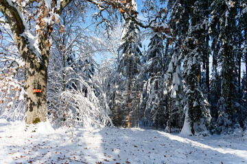 View of a Bavarian winter landscape with lots of snow, blue sky with clouds on a cold winter day