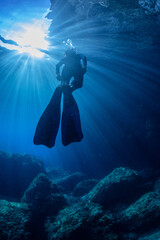 Fototapete bei efototapeten.de bestellen   