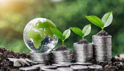 Fotobehang green globe with world map and stack of silver coins the seedlings are growing on top concept of green business finance and sustainability investment carbon credit money saving investment © Art_me2541