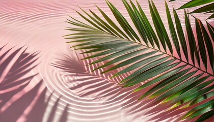summer creative layout with palm tree leaf shadow and pastel pink water ripple background 80s or 90s retro aesthetic fashion idea minimal tropical summer idea