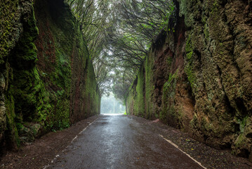 Old road to English Peak, Anaga Rural Park on Tenerife island, Spain