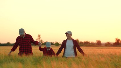 Mom dad child boy run, walk hand in hand. Slow motion. Happy family of farmers with child, are walking run on wheat field. Happy mother, father and little son enjoying nature together, outdoor, sun