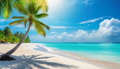 sunny tropical caribbean beach with palm trees and turquoise water island vacation hot summer day