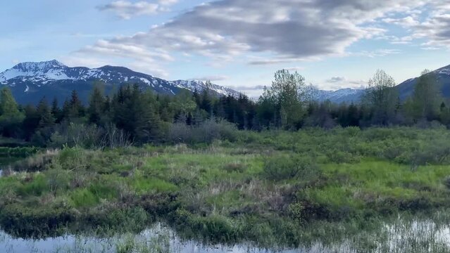 Views of the Kenai Peninsula in Alaska while riding on the Alaska Railroad (ARR).