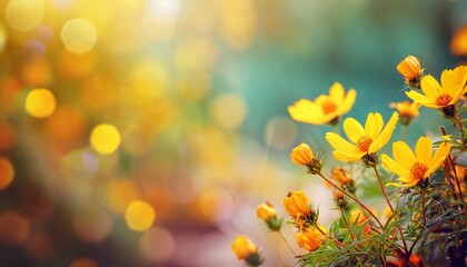 Obraz na płótnie Canvas beautiful yellow flowers on blurred background with bokeh and copy space autumn or summer festive natural background