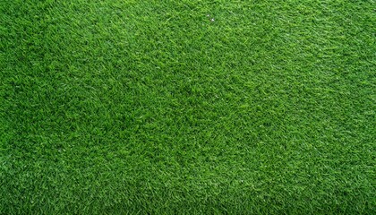 Obraz premium artificial grass