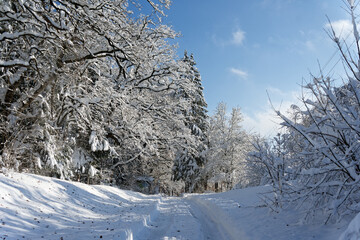 View of a Bavarian winter landscape with lots of snow, blue sky with clouds on a cold winter day