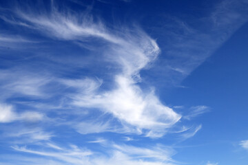 Beautiful blue sky with white wispy clouds, a perfect replacement background for photos. - obrazy, fototapety, plakaty