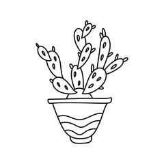 hand drawn vector cactuse in the pots
