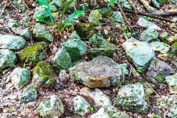 Coba Maya Ruins ancient buildings pyramids in tropical jungle Mexico.
