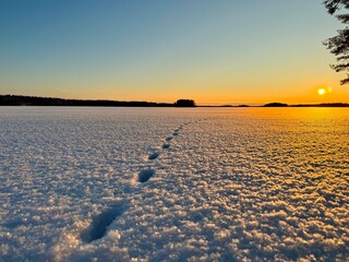 Wintry sunset image on the lake shore. - 687636015