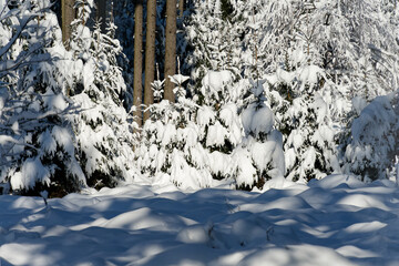 View of a Bavarian winter landscape with lots of snow, blue sky with clouds on a cold winter day