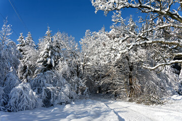 View of a Bavarian winter landscape with lots of snow, blue sky with clouds on a cold winter day
