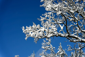 View of a Bavarian winter landscape with lots of snow, blue sky with clouds on a cold winter day
