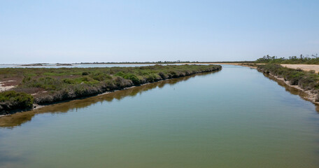 scenic and desolate panorama in an oasis of the Camargue