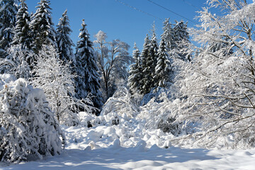 View of a Bavarian winter landscape with lots of snow, blue sky with clouds on a cold winter day