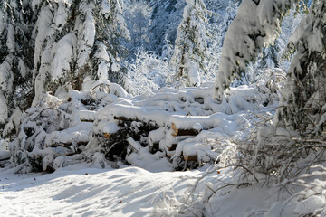 View of a Bavarian winter landscape with lots of snow, blue sky with clouds on a cold winter day