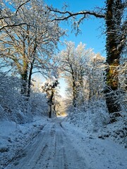 Spazierweg im Winter nach einem Schneefall bei sonnigem Wetter. 