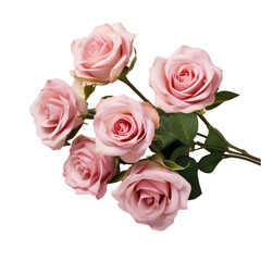 bouquet of pink roses on a transparent background PNG for use in decorating projects.