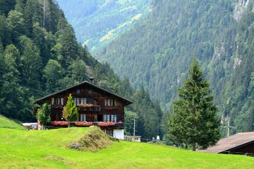Paisaje alpino en Grindelwald, Cantón de Berna, Suiza